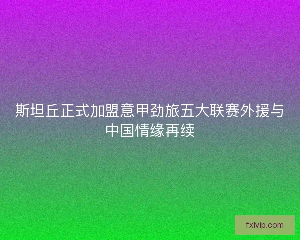 斯坦丘正式加盟意甲劲旅五大联赛外援与中国情缘再续 斯坦丘正式加盟意甲劲旅五大联赛外援与中国情缘再续