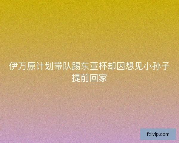 伊万原计划带队踢东亚杯却因想见小孙子提前回家 伊万原计划带队踢东亚杯却因想见小孙子提前回家